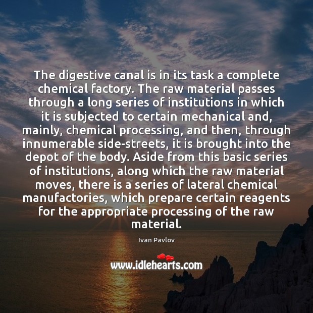 The digestive canal is in its task a complete chemical factory. The Image