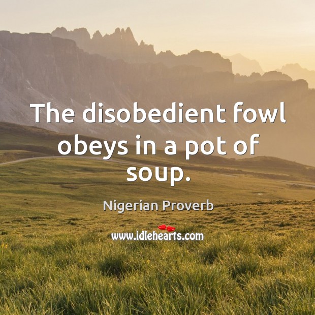 The disobedient fowl obeys in a pot of soup. Image