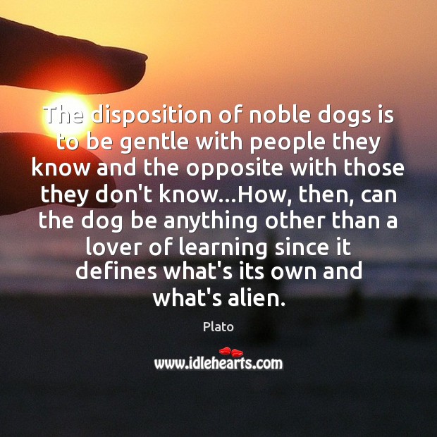 The disposition of noble dogs is to be gentle with people they Plato Picture Quote