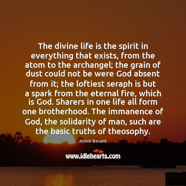The divine life is the spirit in everything that exists, from the Annie Besant Picture Quote
