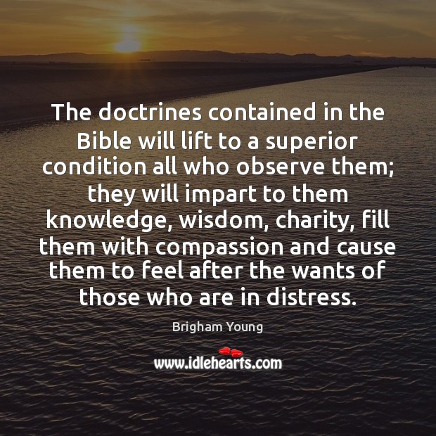 The doctrines contained in the Bible will lift to a superior condition Brigham Young Picture Quote