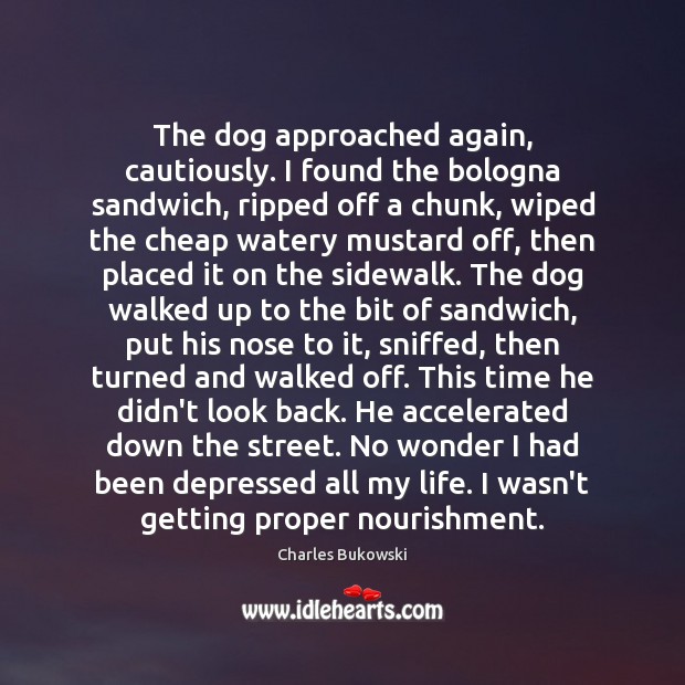 The dog approached again, cautiously. I found the bologna sandwich, ripped off Image