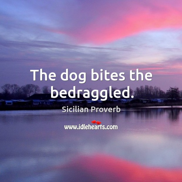 The dog bites the bedraggled. Sicilian Proverbs Image
