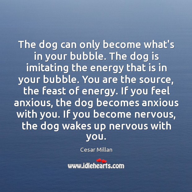 The dog can only become what’s in your bubble. The dog is Cesar Millan Picture Quote