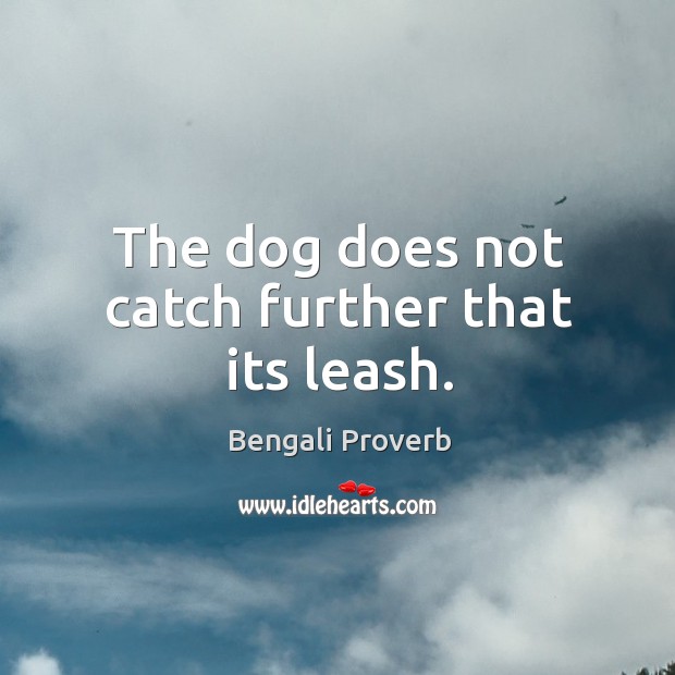 The dog does not catch further that its leash. Bengali Proverbs Image