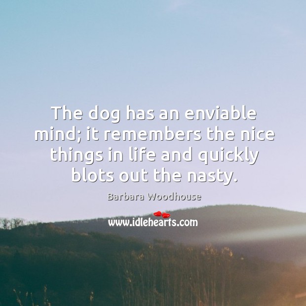 The dog has an enviable mind; it remembers the nice things in Barbara Woodhouse Picture Quote