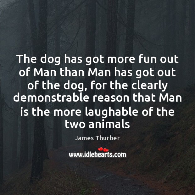 The dog has got more fun out of Man than Man has Image