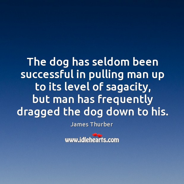 The dog has seldom been successful in pulling man up to its level of sagacity James Thurber Picture Quote