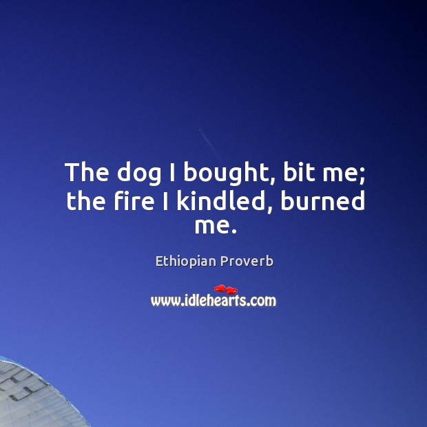 The dog I bought, bit me; the fire I kindled, burned me. Ethiopian Proverbs Image