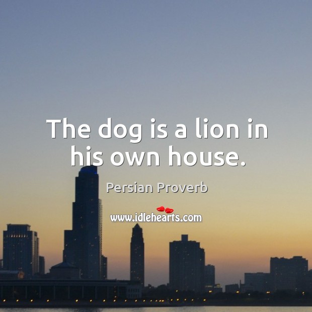 The dog is a lion in his own house. Persian Proverbs Image