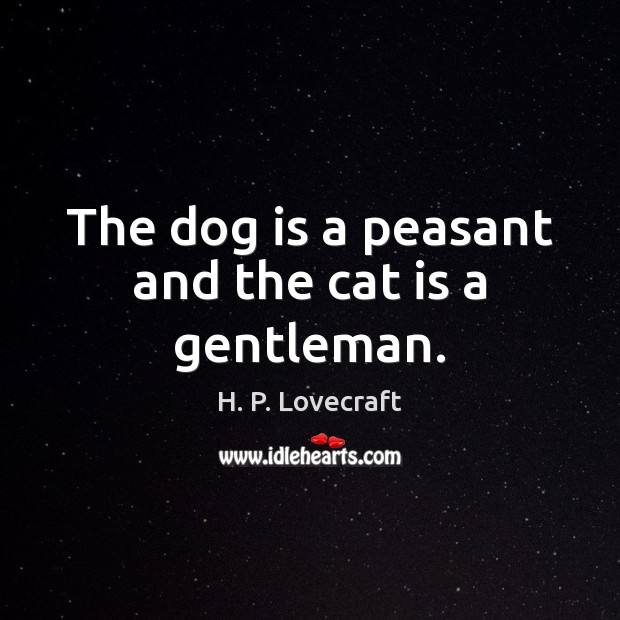 The dog is a peasant and the cat is a gentleman. H. P. Lovecraft Picture Quote