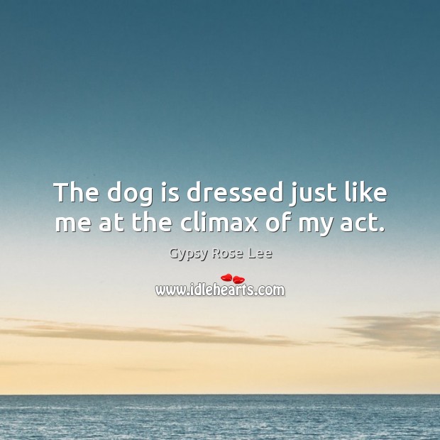 The dog is dressed just like me at the climax of my act. Gypsy Rose Lee Picture Quote