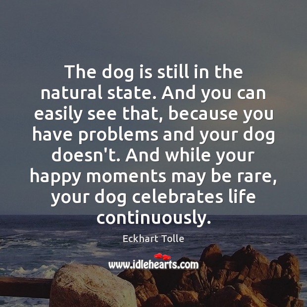 The dog is still in the natural state. And you can easily Eckhart Tolle Picture Quote