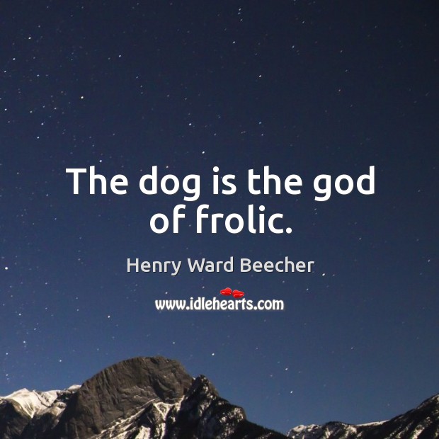 The dog is the God of frolic. Image