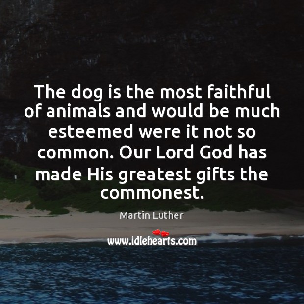 The dog is the most faithful of animals and would be much Martin Luther Picture Quote