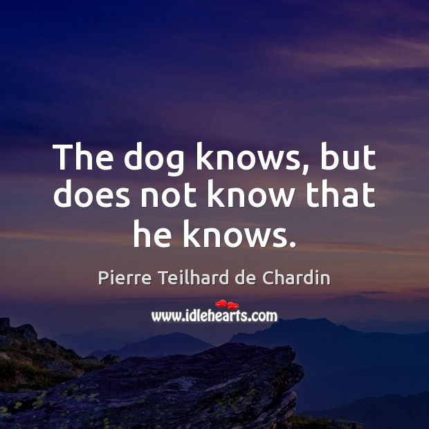 The dog knows, but does not know that he knows. Pierre Teilhard de Chardin Picture Quote