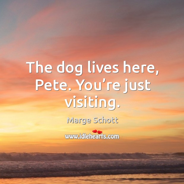 The dog lives here, pete. You’re just visiting. Image
