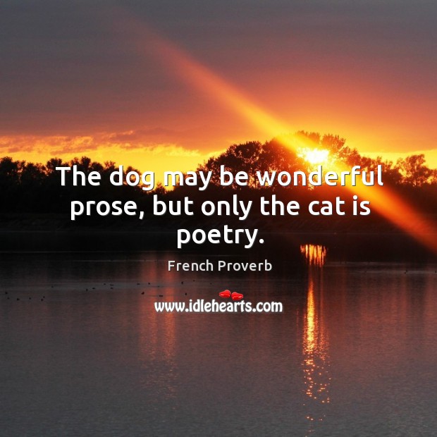 The dog may be wonderful prose, but only the cat is poetry. Image
