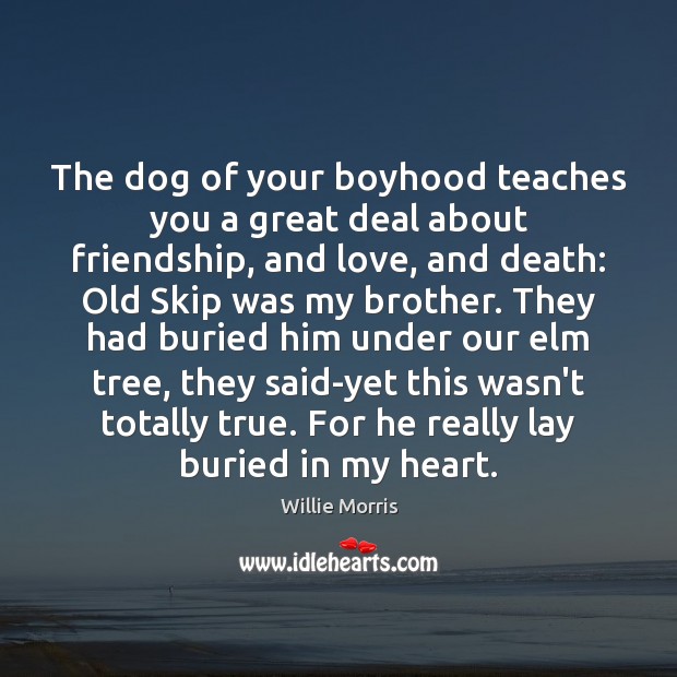 The dog of your boyhood teaches you a great deal about friendship, Willie Morris Picture Quote