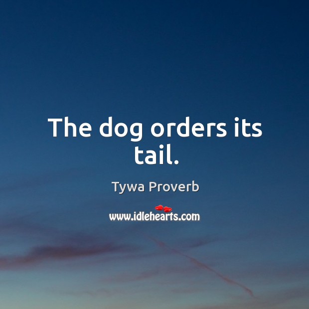 The dog orders its tail. Tywa Proverbs Image