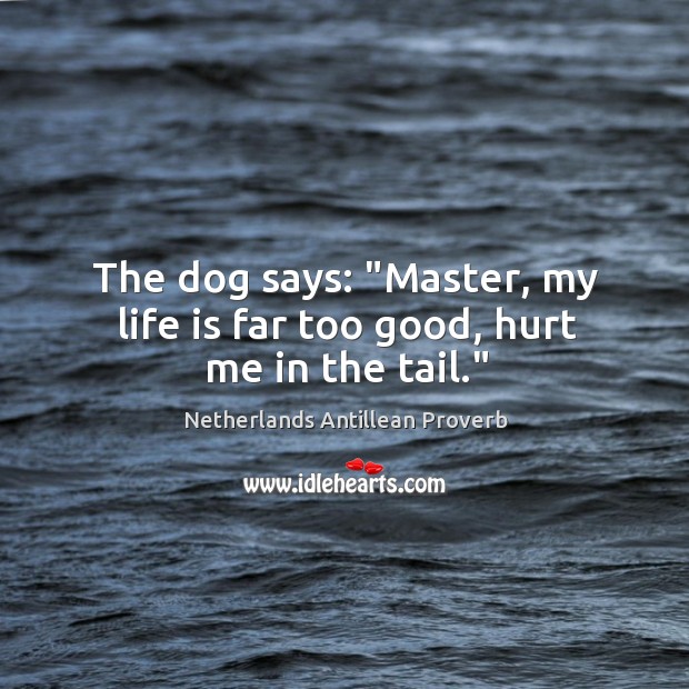 The dog says: “master, my life is far too good, hurt me in the tail.” Netherlands Antillean Proverbs Image
