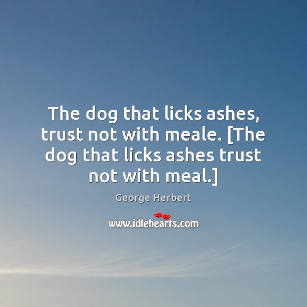 The dog that licks ashes, trust not with meale. [The dog that Image