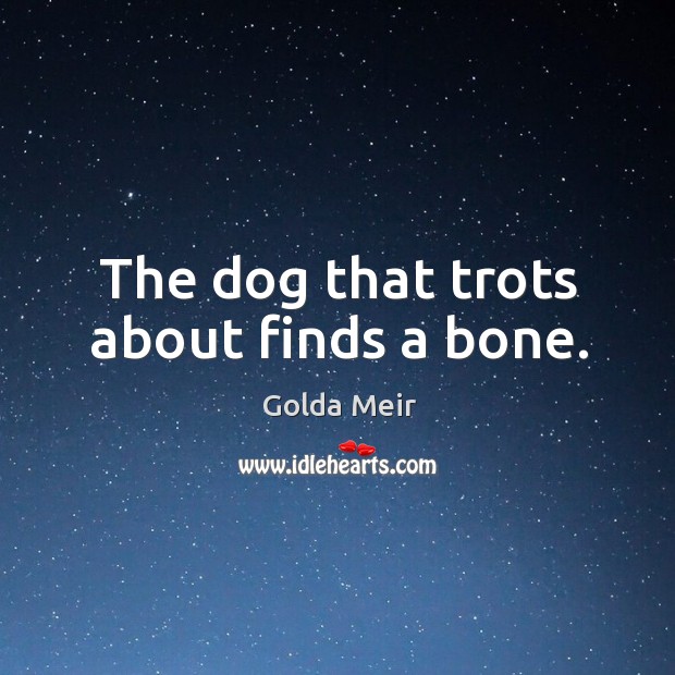 The dog that trots about finds a bone. Golda Meir Picture Quote