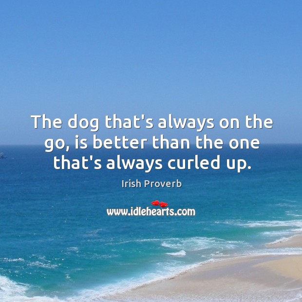 The dog that’s always on the go, is better than the one that’s always curled up. Image
