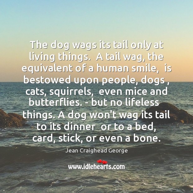 The dog wags its tail only at living things.  A tail wag, Jean Craighead George Picture Quote