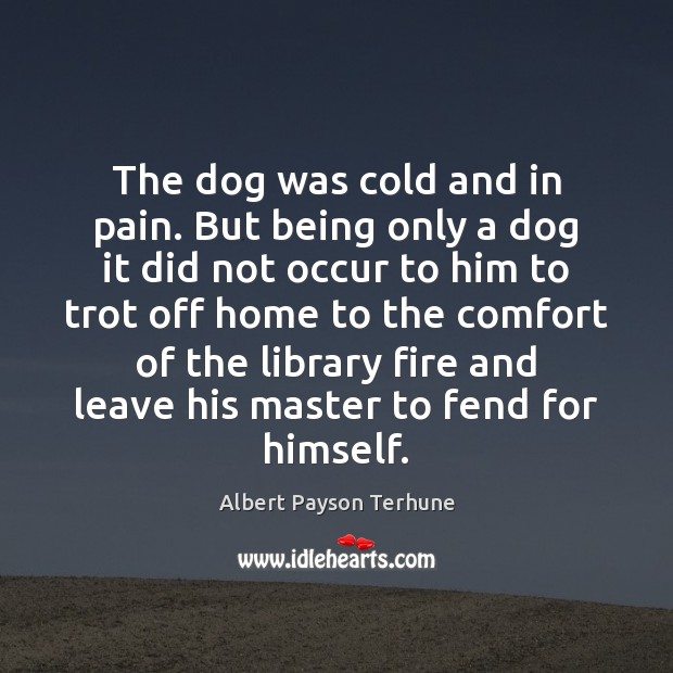 The dog was cold and in pain. But being only a dog Albert Payson Terhune Picture Quote