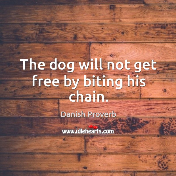 The dog will not get free by biting his chain. Image