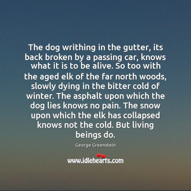 The dog writhing in the gutter, its back broken by a passing George Greenstein Picture Quote