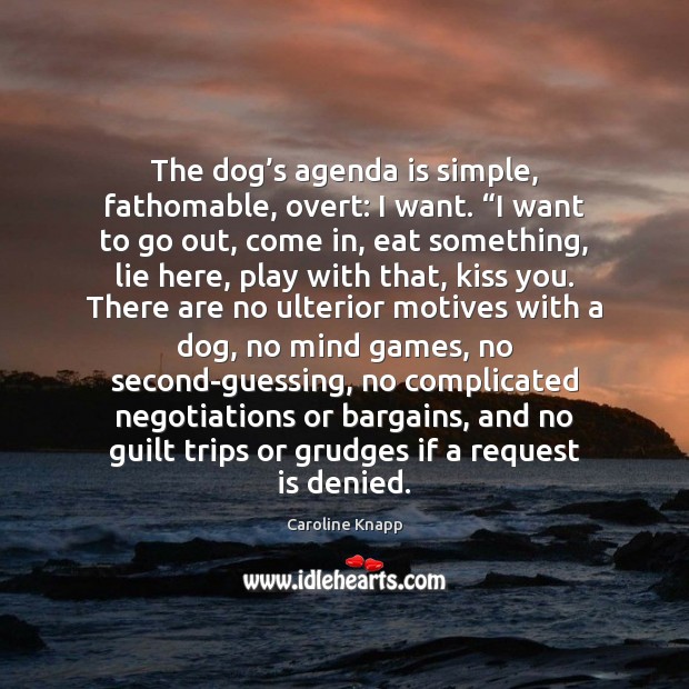 The dog’s agenda is simple, fathomable, overt: I want. “I want 