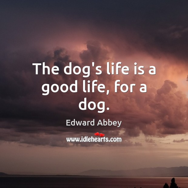 The dog’s life is a good life, for a dog. Edward Abbey Picture Quote