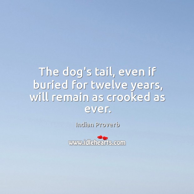 The dog’s tail, even if buried for twelve years, will remain as crooked as ever. Indian Proverbs Image