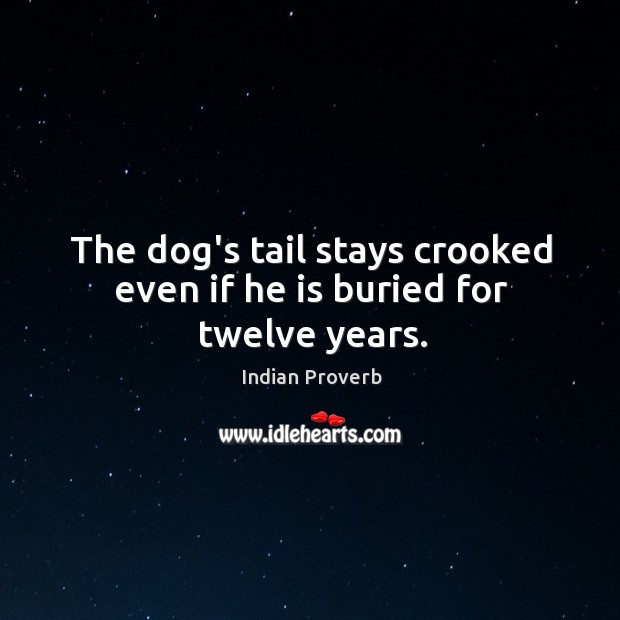 The dog’s tail stays crooked even if he is buried for twelve years. Indian Proverbs Image