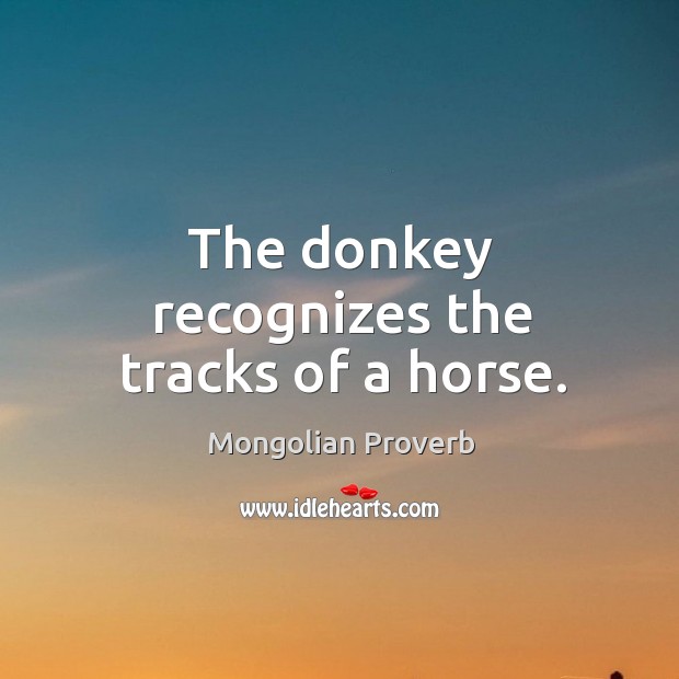 The donkey recognizes the tracks of a horse. Image