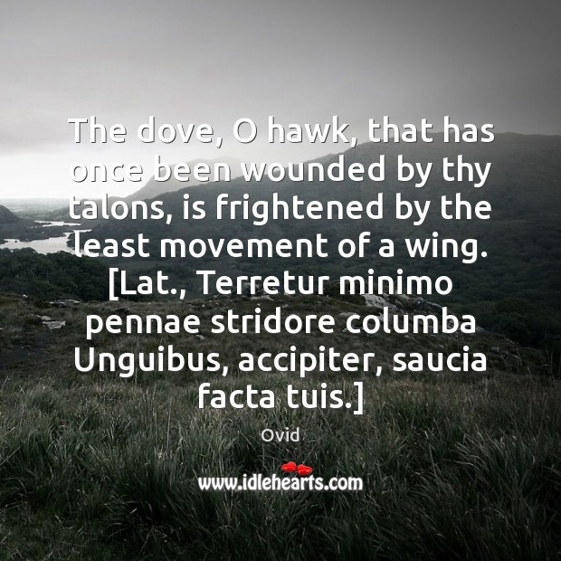 The dove, O hawk, that has once been wounded by thy talons, Ovid Picture Quote
