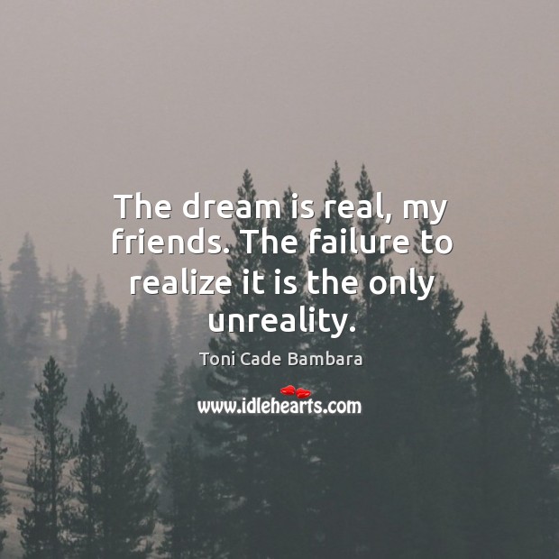 The dream is real, my friends. The failure to realize it is the only unreality. Toni Cade Bambara Picture Quote