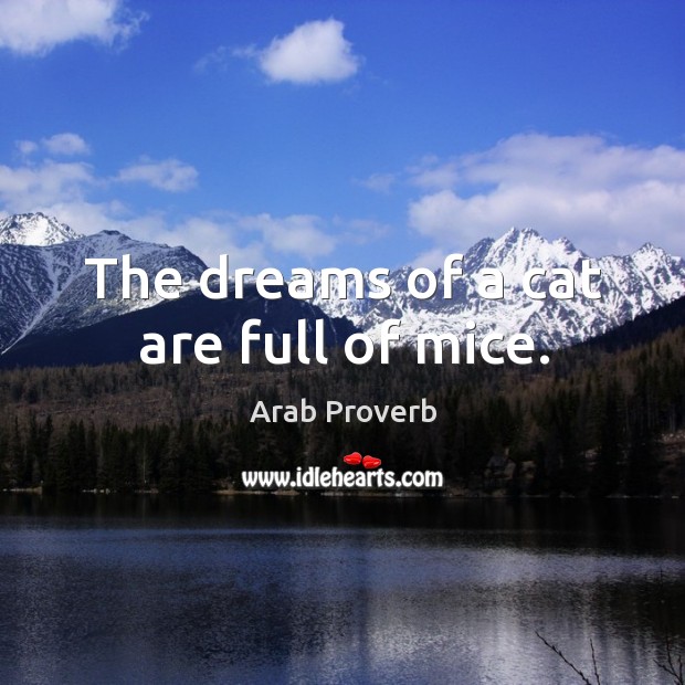 The dreams of a cat are full of mice. Arab Proverbs Image