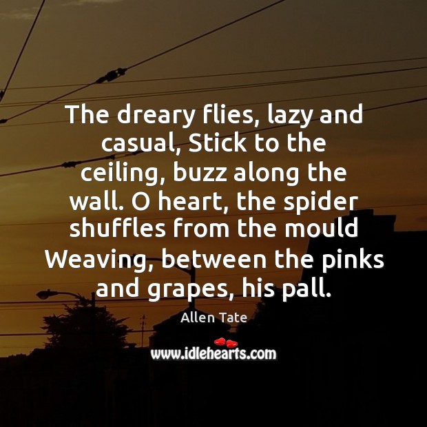 The dreary flies, lazy and casual, Stick to the ceiling, buzz along Image