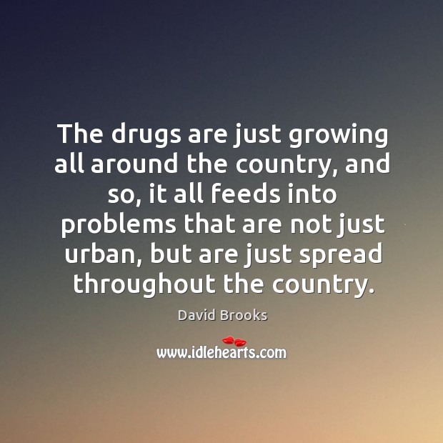The drugs are just growing all around the country, and so, it David Brooks Picture Quote