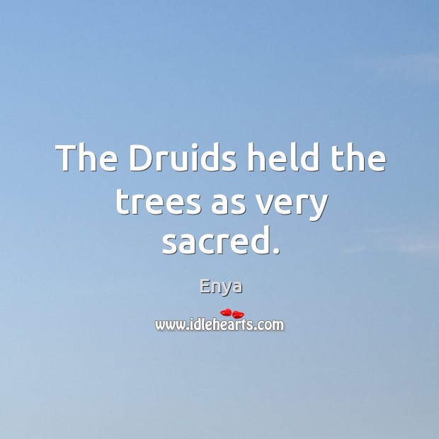 The druids held the trees as very sacred. Enya Picture Quote