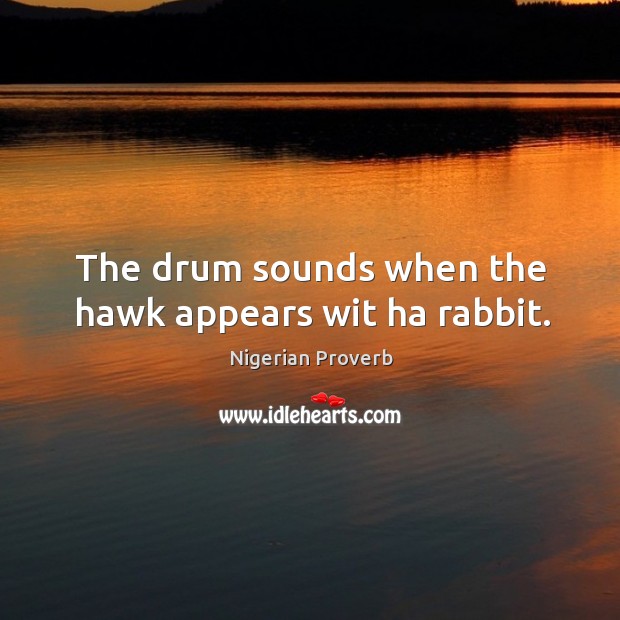 The drum sounds when the hawk appears wit ha rabbit. Nigerian Proverbs Image