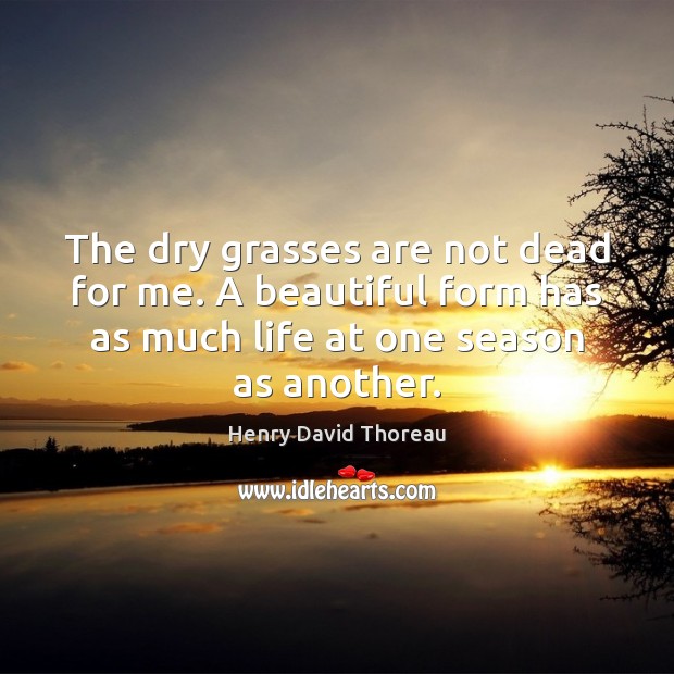 The dry grasses are not dead for me. A beautiful form has Henry David Thoreau Picture Quote