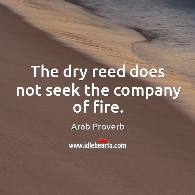 The dry reed does not seek the company of fire. Arab Proverbs Image
