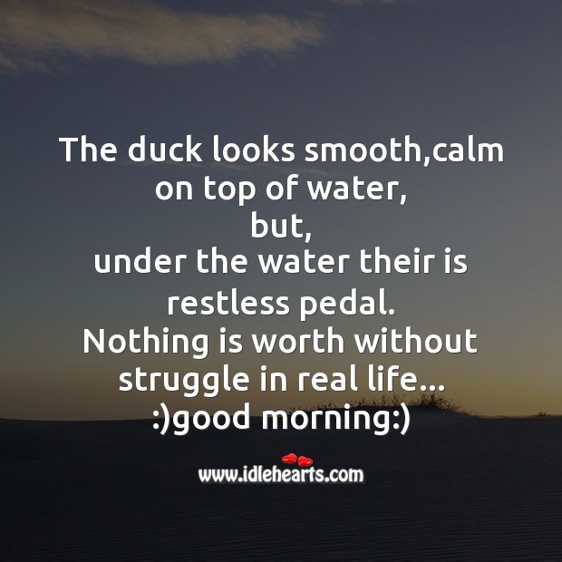 The duck looks smooth Good Morning Quotes Image