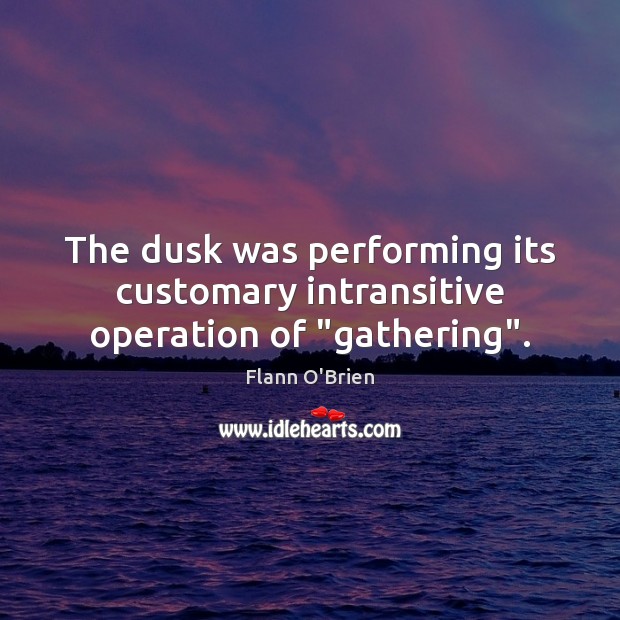 The dusk was performing its customary intransitive operation of “gathering”. Flann O’Brien Picture Quote