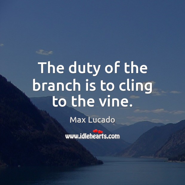 The duty of the branch is to cling to the vine. Image