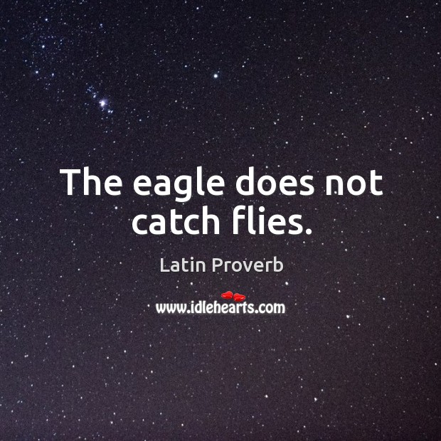 The eagle does not catch flies. Image